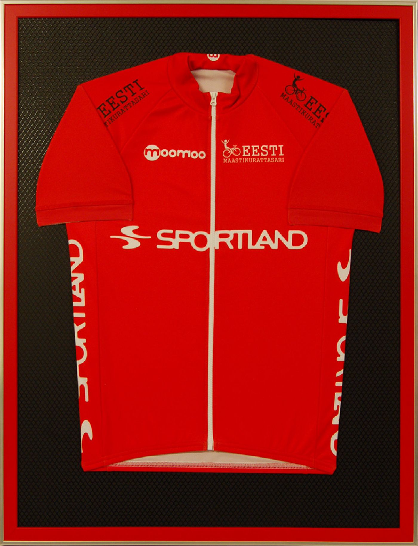 Raamitud spordisärk